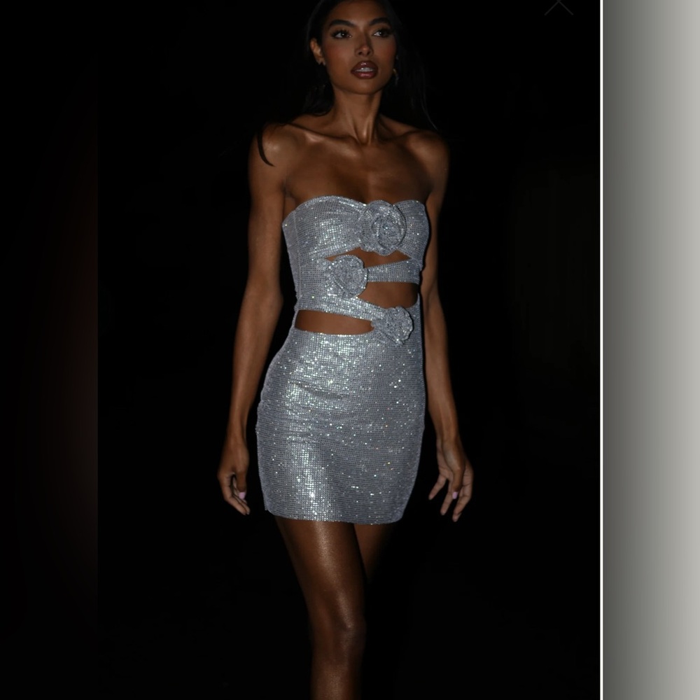 Meshki Korinna Strapless Rose Diamante Mini Dress-Silver. Size XXS. NWT